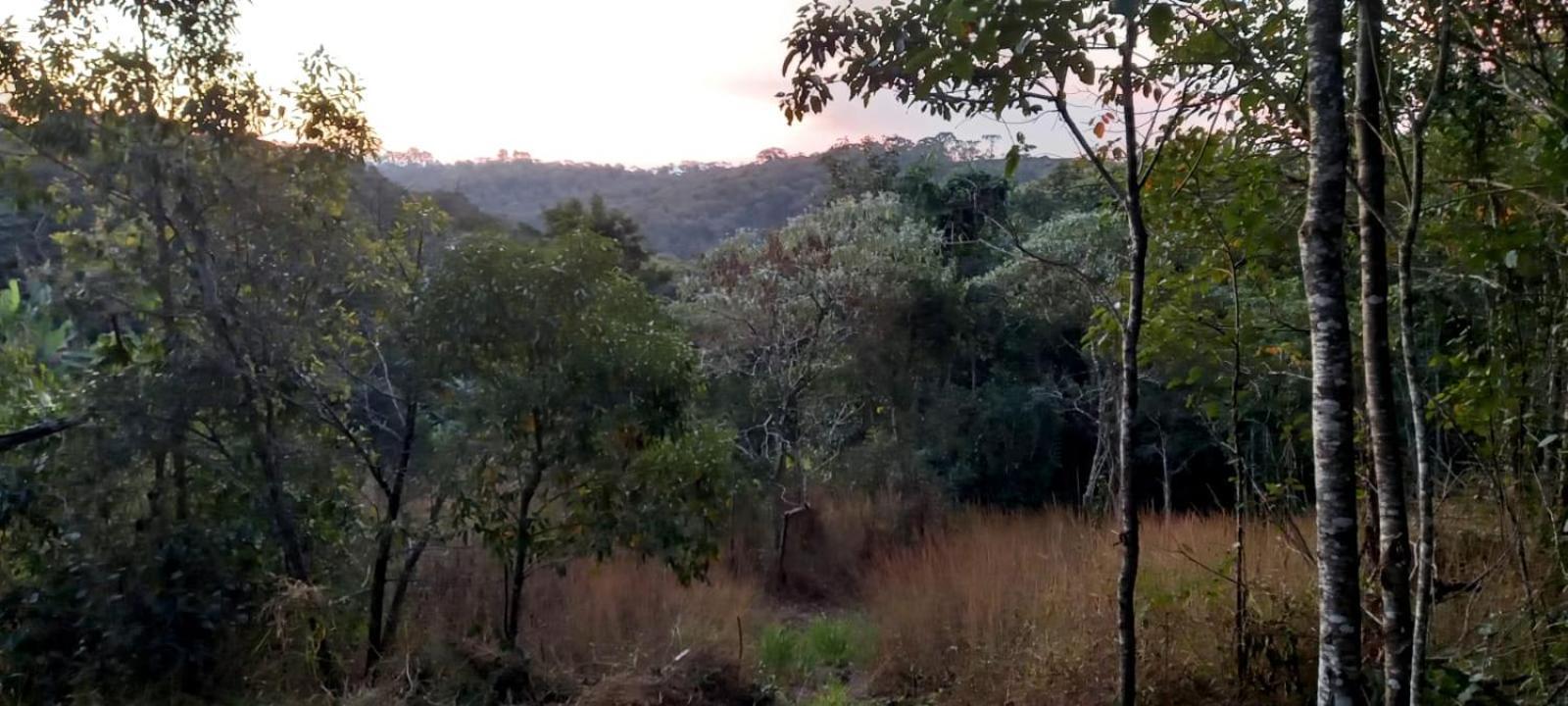 Willa Casa Cafe - Aconchego Na Floresta - Rota Do Vinho São Roque Zewnętrze zdjęcie